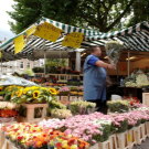 Flower market